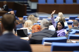 Парламент - заседание