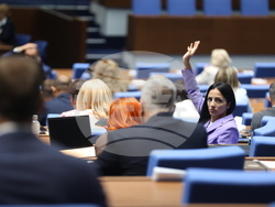 Парламент - заседание