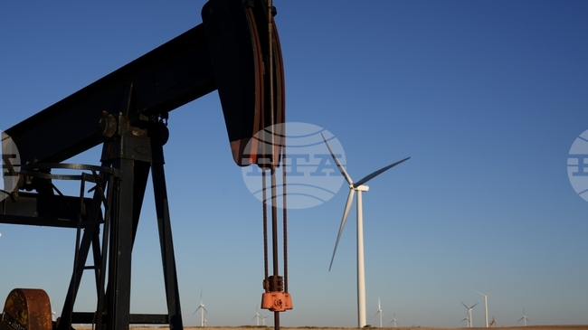 Петролът поевтинява леко преди срещата между Тръмп и Путин