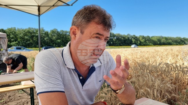 Посевите от есенници в област Добрич са в добро състояние, каза за БТА председателят на Асоциацията на българските зърнопроизводители – 2006