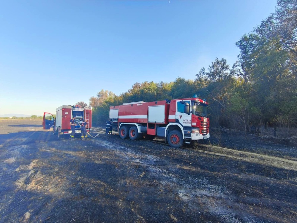 Житни блокове горяха в Пловдивско и Хасковско, запалила се кола в Бургаско унищожи 150 дка пшеница