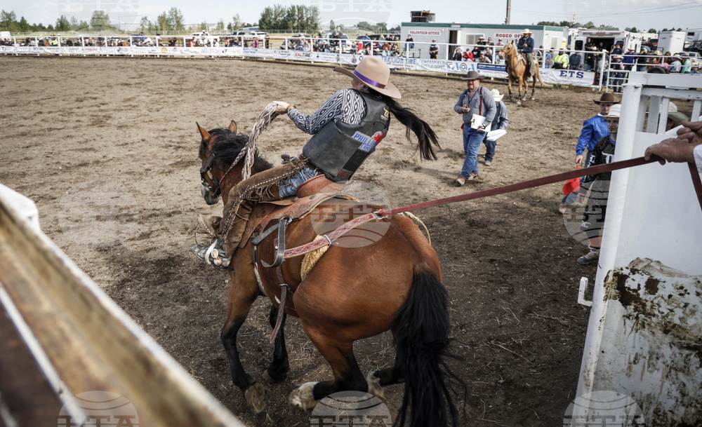 Ranch Bronc Riding