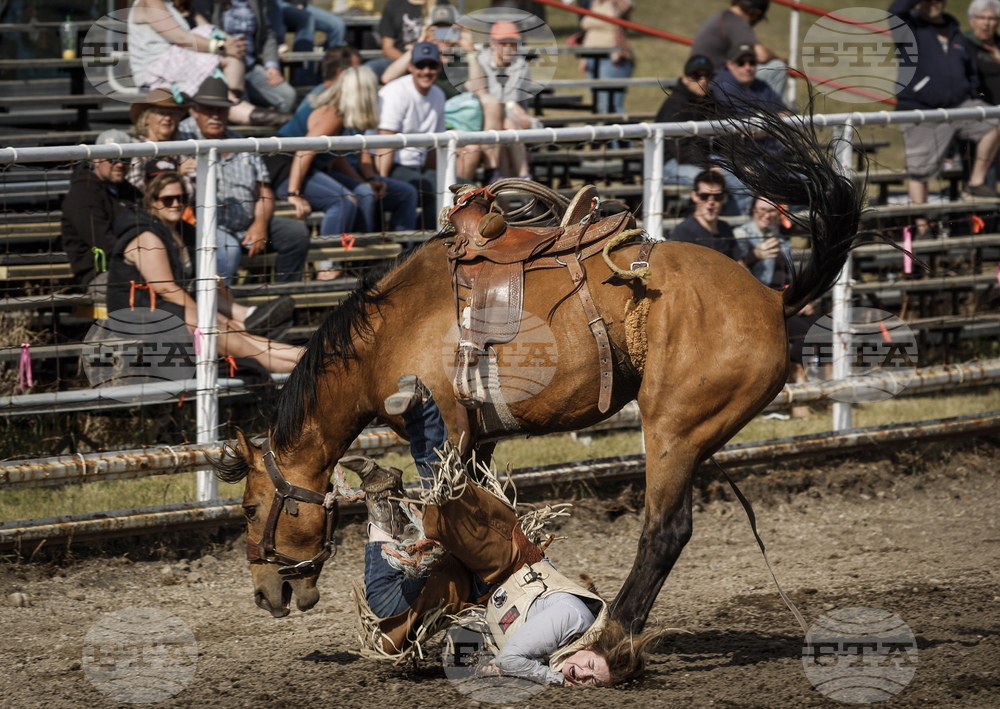 Ranch Bronc Riding