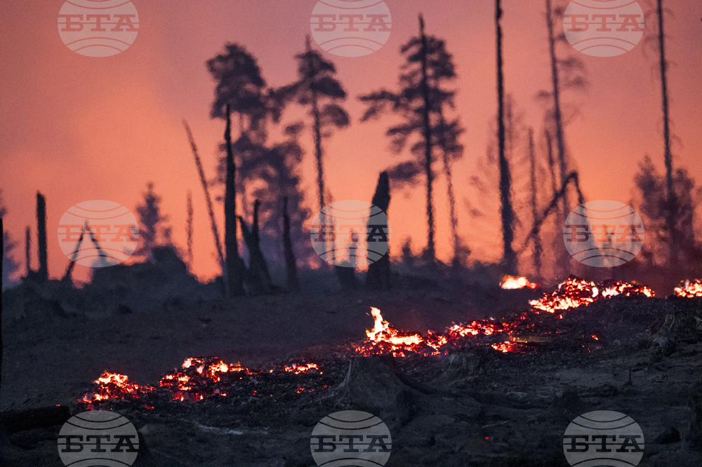 Germany Forest Fire