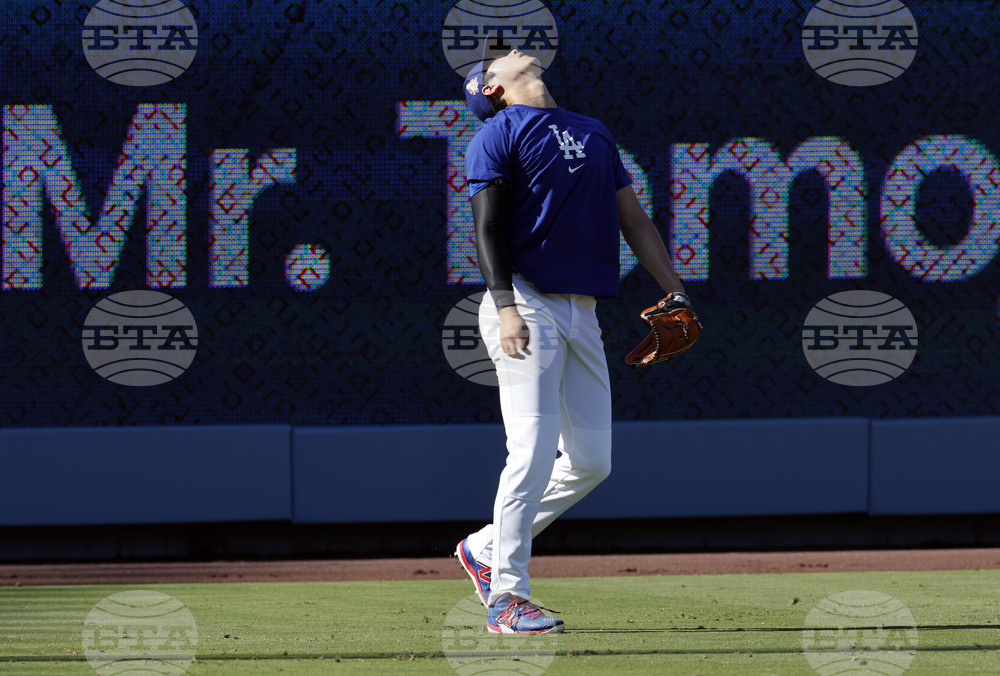 White Sox Dodgers Baseball
