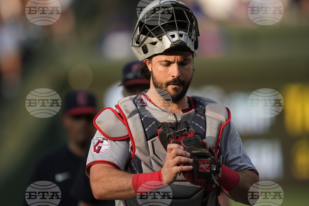 Guardians Cubs Baseball