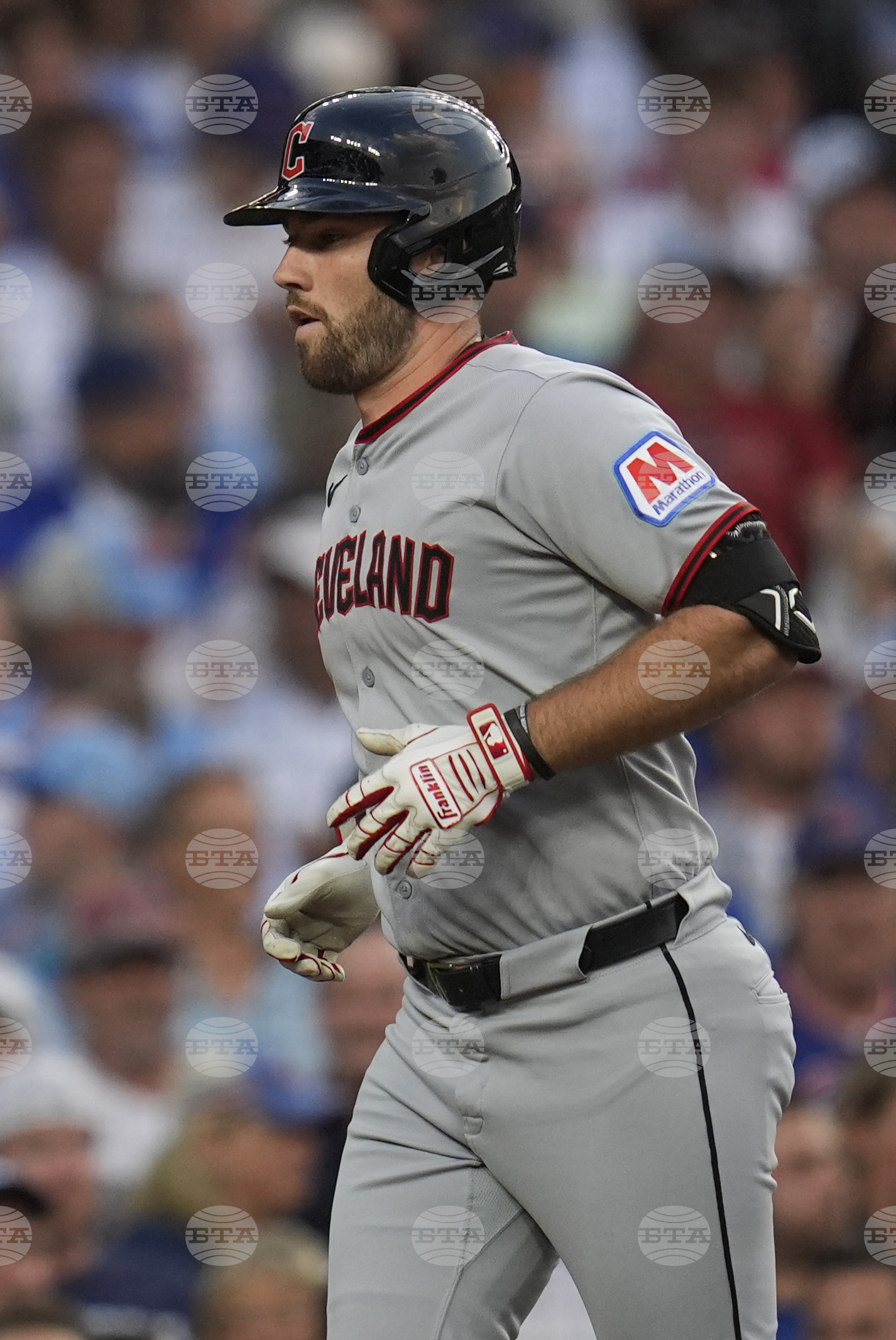 Guardians Cubs Baseball