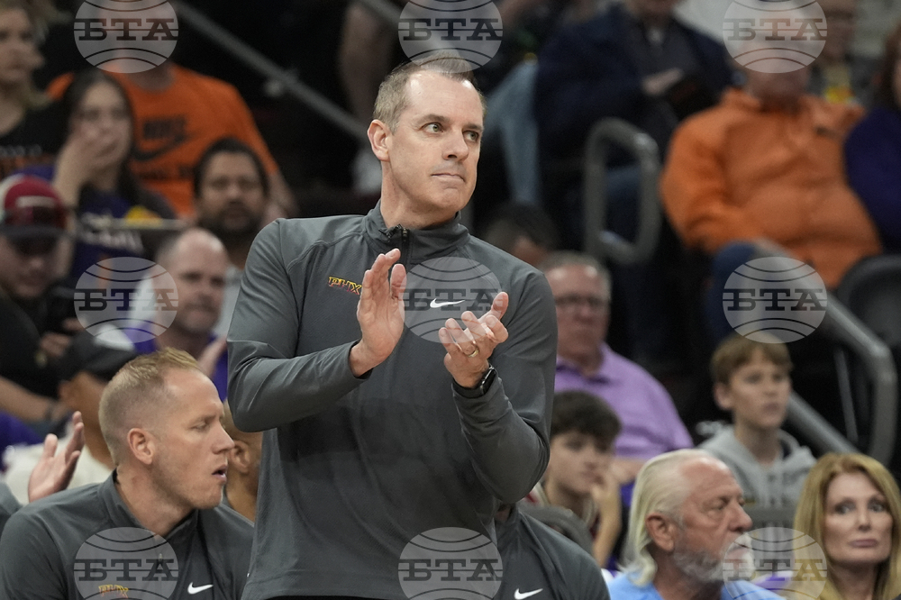 Mavericks Vogel