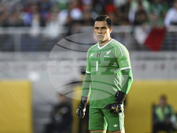 Gold Cup Mexico Honduras Soccer