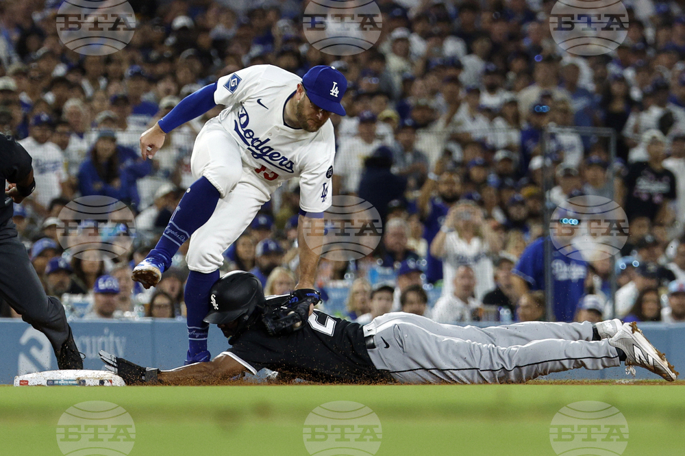 White Sox Dodgers Baseball