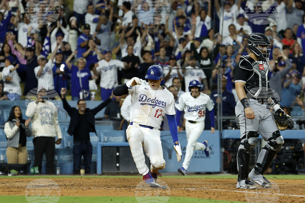 White Sox Dodgers Baseball
