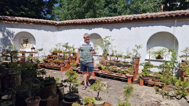 Бонсай градина отваря врати в Сребровата къща в Шумен, каза създателят ѝ Радко Колев