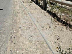 Снимка: Институт за пътна безопасност