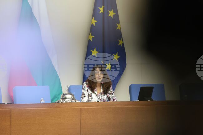 Parliament to Take Vote on No Confidence Motion against Zhelyazkov Cabinet on Friday