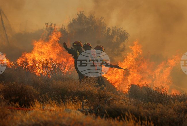 Около 5000 туристи са напуснали югоизточната част на гръцкия остров Крит заради горските пожари