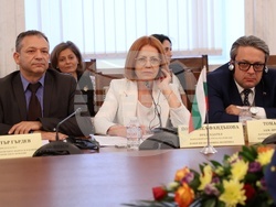 Народно събрание - Комисия по външна политика - заседание