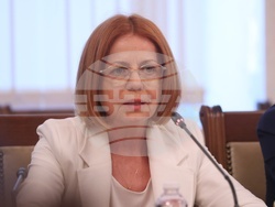 Народно събрание - Комисия по външна политика - заседание