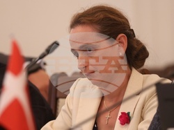 Народно събрание - Комисия по външна политика - заседание