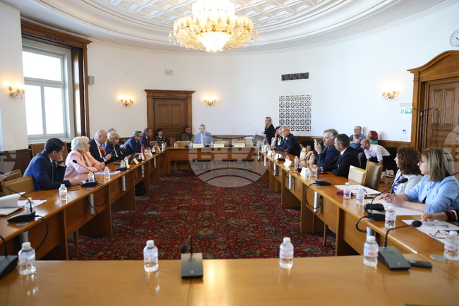 Комисията по културата и медиите не прие на първо четене законопроекти за изменение и допълнение на Закона за културното наследство