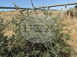 Снимка: Община Стара Загора