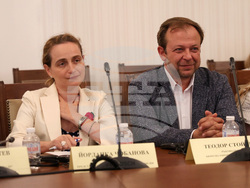 Народно събрание - Комисия по външна политика - заседание