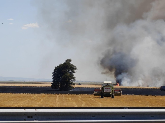 Пожар горя в земеделски площи край 229 км от автомагистрала "Тракия"
