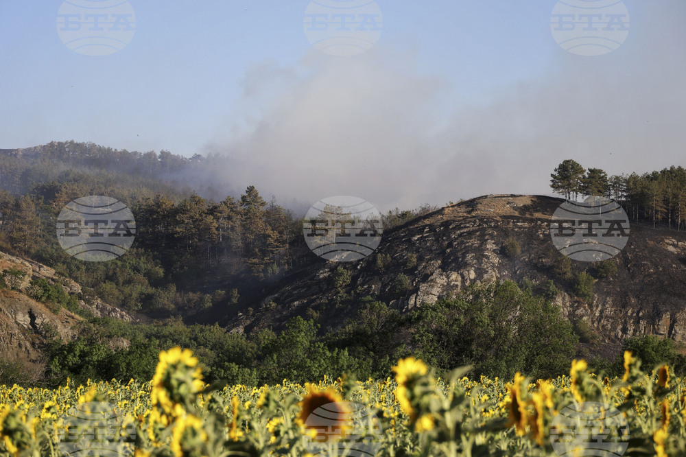 Айтос - пожар