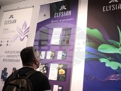 „Визуална комуникация“ и „Плакат“ - дипломанти - изложба