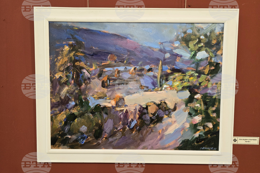 Плевен - Румен Атанасов - изложба