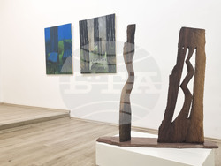 Плевен - изложба - Георги Георгиев и Рашо Митев