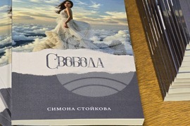 Видин - книга - представяне