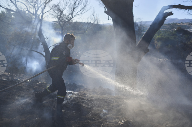 Горски пожар избухна в Темпе, Централна Гърция