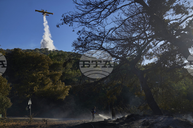 Горските пожари на остров Крит и в района на Атина са под контрол