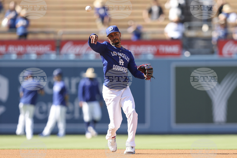 White Sox Dodgers Baseball