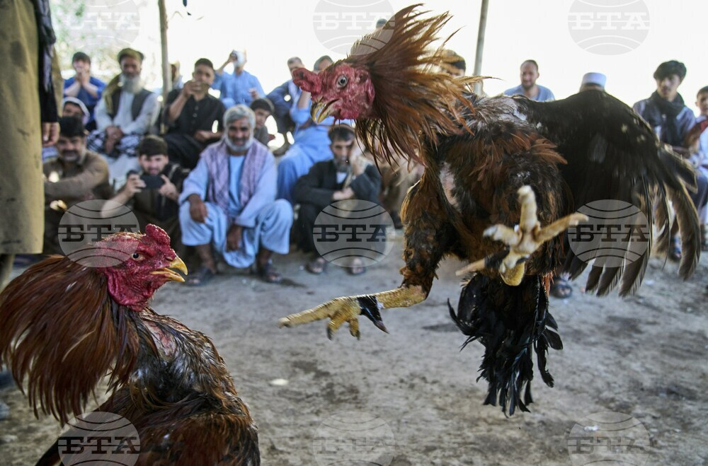 Pictures of the Week Global Photo Gallery