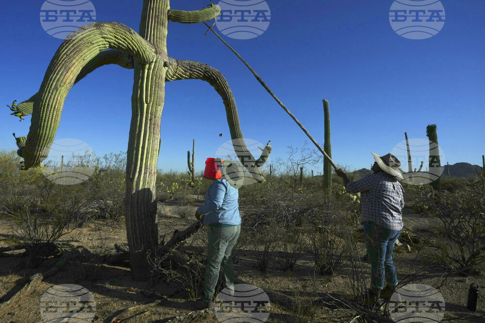 Pictures of the Week Global Photo Gallery