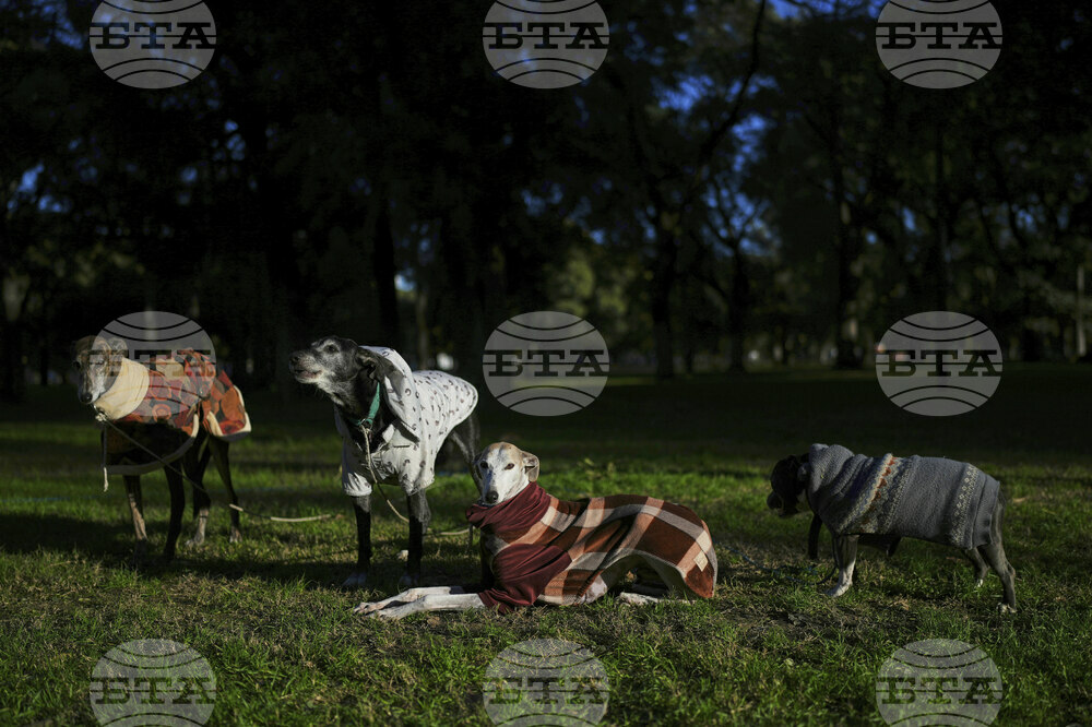 Pictures of the Week Latin America and Caribbean Photo Gallery