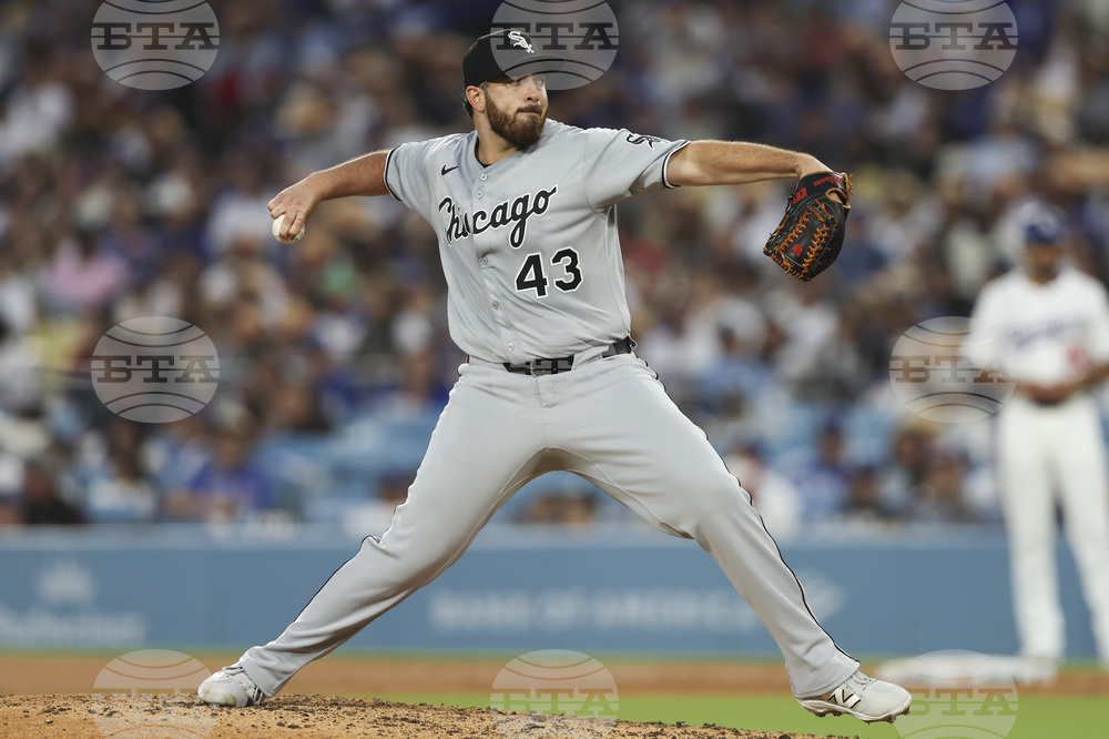 White Sox Dodgers Baseball