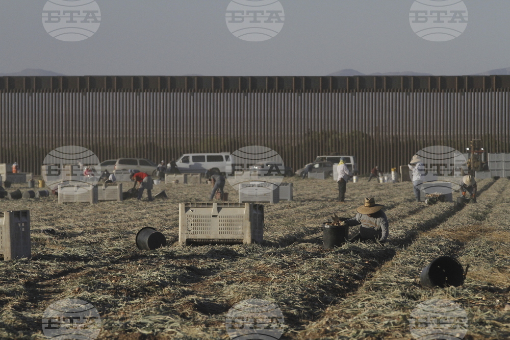 Militarized Border