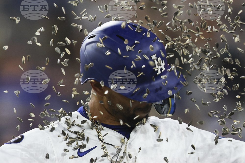 White Sox Dodgers Baseball