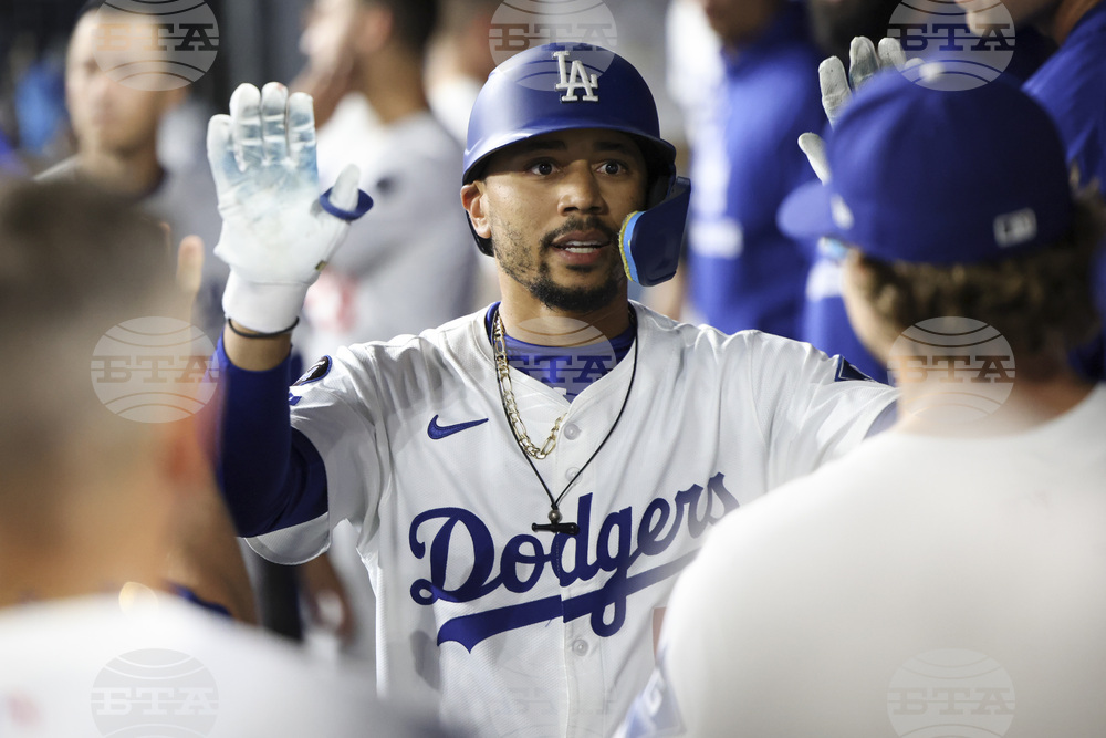 White Sox Dodgers Baseball
