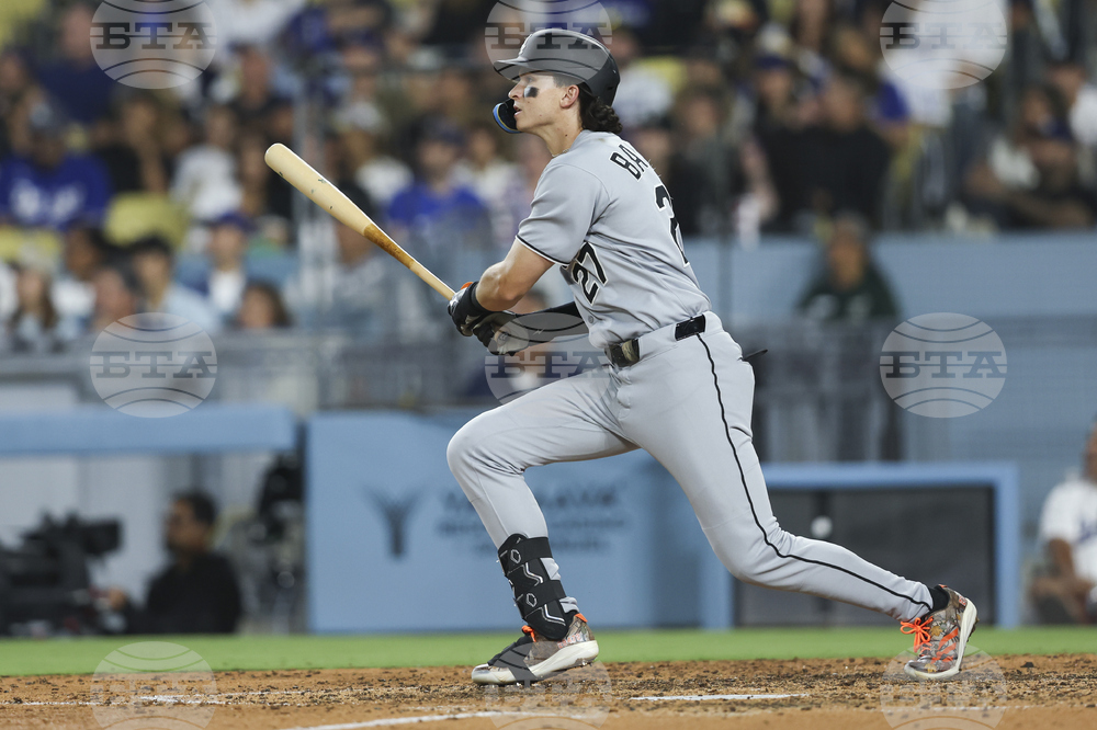 White Sox Dodgers Baseball