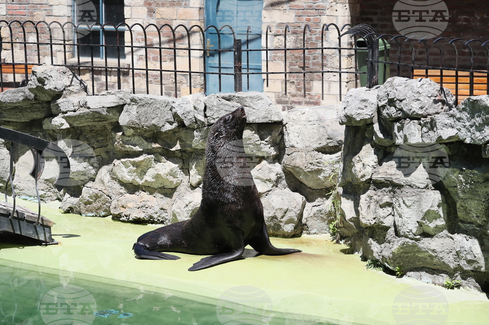 Weather in August: Lows at 12-17C, Highs at 35-40C 