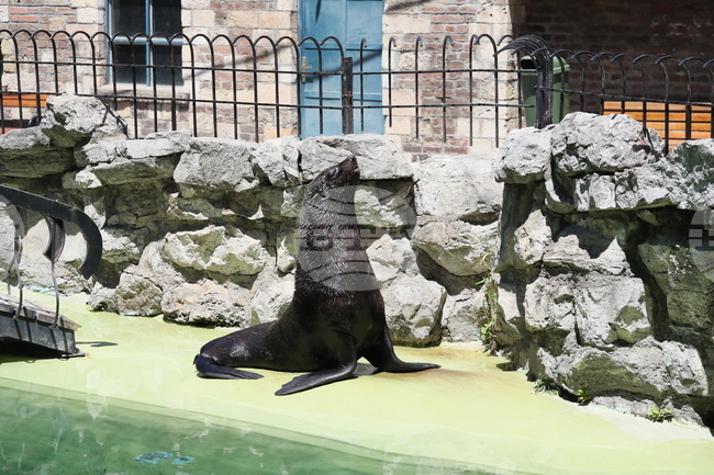 Weather in August: Lows at 12-17C, Highs at 35-40C 