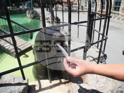 Сърбия - зоопарк - топло време