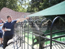 Сърбия - зоопарк - топло време