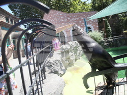 Сърбия - зоопарк - топло време