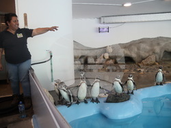 Сърбия - зоопарк - топло време