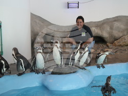 Сърбия - зоопарк - топло време