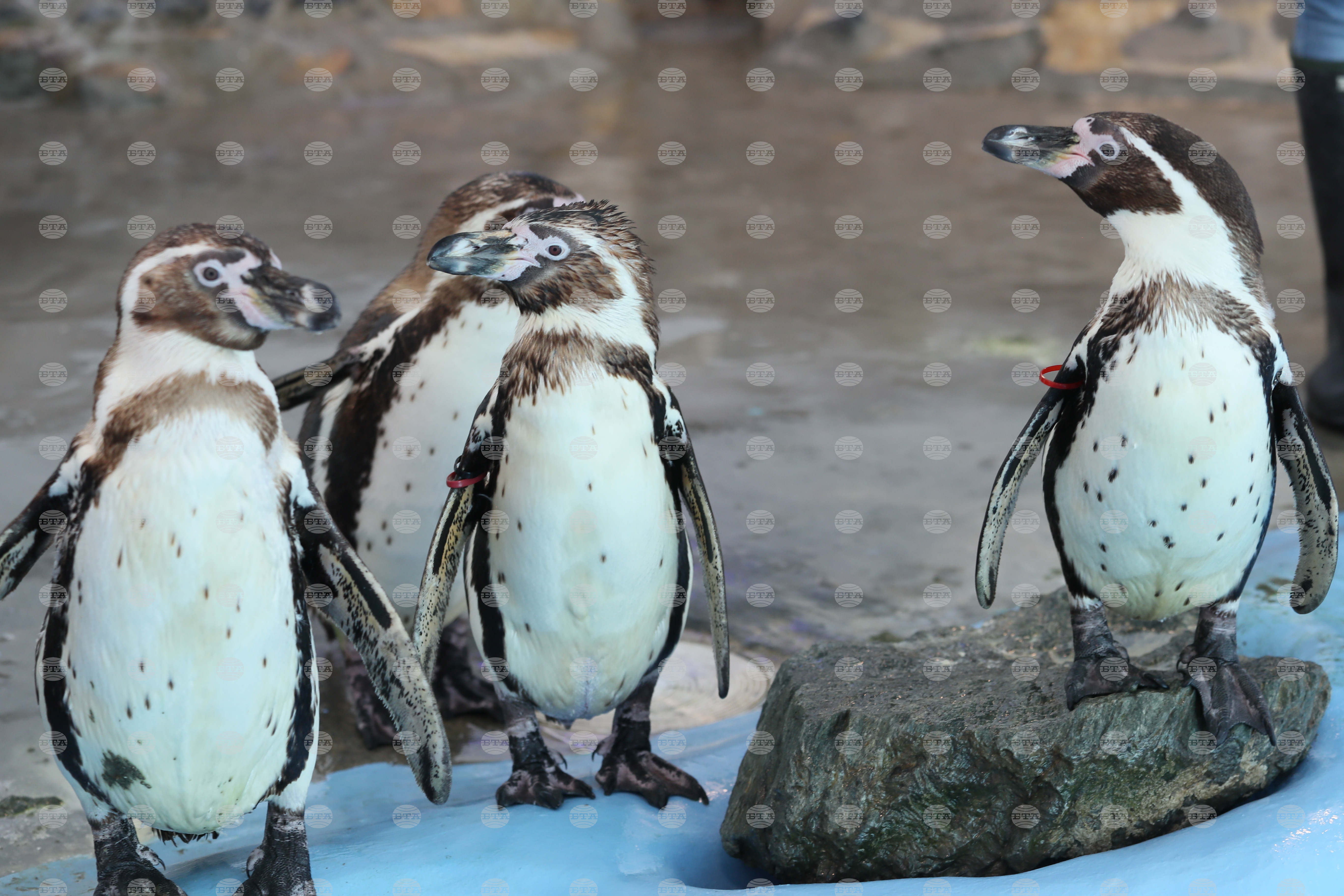 Weather in November: Temperatures Down to Minus 5C, Up to 25C